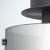 Brilliant Beth Plafondlamp Zwart, 1-licht