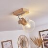 Orny Plafondlamp Natuurlijke kleuren, Wit, 1-licht
