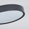 Nexo Plafondlamp LED Zwart, 1-licht