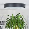Nexo Plafondlamp LED Zwart, 1-licht