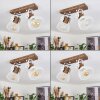 Orny Plafondlamp Bruin, Wit, 2-lichts