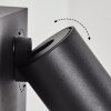 Hakamken Buiten muurverlichting Zwart, 2-lichts, Bewegingsmelder