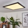 Gailingen Plafondpaneel LED Wit, 1-licht