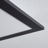 Gailingen Plafondpaneel LED Wit, 1-licht