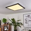 Gailingen Plafondpaneel LED Wit, 1-licht