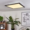 Gailingen Plafondpaneel LED Wit, 1-licht