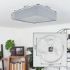 Tise Plafondlamp, 3-lichts
