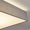 Tise Plafondlamp LED Wit, 1-licht