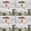 Orny Plafondlamp Bruin, Wit, 1-licht
