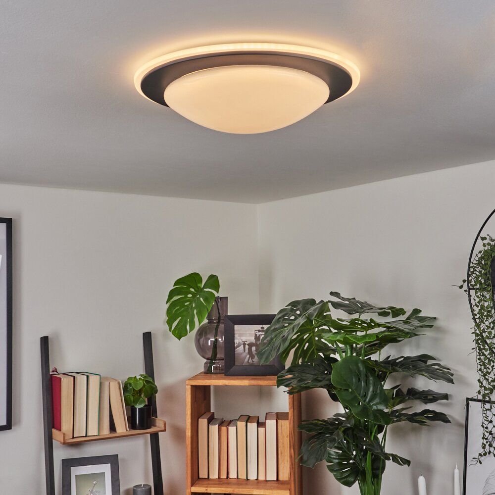 Wil Plafondlamp LED Antraciet, Wit, 1-licht main product photo