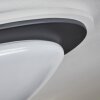 Wil Plafondlamp LED Antraciet, Wit, 1-licht