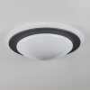 Wil Plafondlamp LED Antraciet, Wit, 1-licht