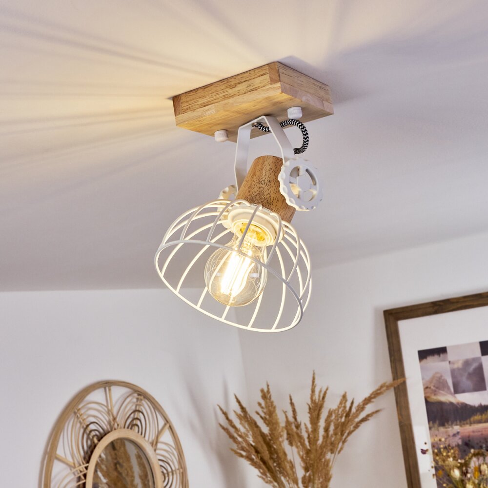 Orny Plafondlamp Natuurlijke kleuren, Wit, 1-licht main product photo