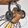 Orny Plafondlamp Hout donker, Zwart, 2-lichts