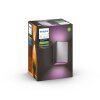 Philips Hue White & Color Ambiance Resonate Muurlamp LED roestvrij staal, 2-lichts