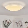 Worben Plafondlamp LED Wit, 1-licht