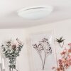 Worben Plafondlamp LED Wit, 1-licht