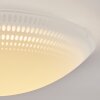 Worben Plafondlamp LED Wit, 1-licht