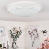 Worben Plafondlamp LED Wit, 1-licht