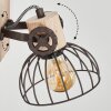 Orny Muurlamp Bruin, Natuurlijke kleuren, 1-licht