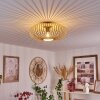Oravi Plafondlamp Hout licht, 1-licht