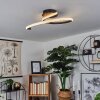Rheinfelden Plafondlamp LED Zwart, 1-licht