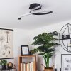 Rheinfelden Plafondlamp LED Zwart, 1-licht