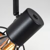 Tarasp Plafondlamp Zwart, 4-lichts