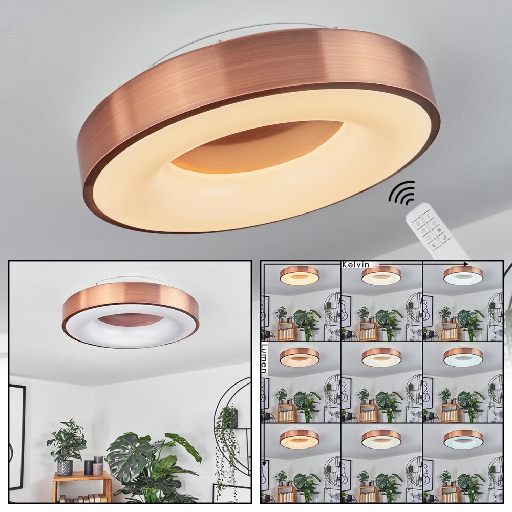 Sachseln Plafondlamp LED Wit, 1-licht main product photo