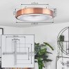 Sachseln Plafondlamp LED Wit, 1-licht