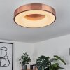 Sachseln Plafondlamp LED Wit, 1-licht