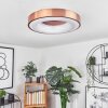 Sachseln Plafondlamp LED Wit, 1-licht