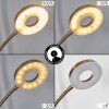 Donna Staande lamp LED Oud messing, 2-lichts