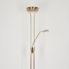 Rom Staande lamp LED Oud messing, 2-lichts