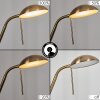Rom Staande lamp LED Messing, 2-lichts