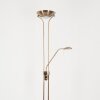 Rom Staande lamp LED Messing, 2-lichts