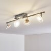 Marsen Plafondlamp LED Nikkel mat, 4-lichts, Afstandsbediening, Kleurwisselaar