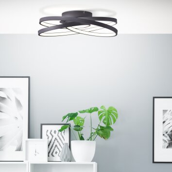 Brilliant Labyrinth Plafondlamp LED Zwart, 1-licht