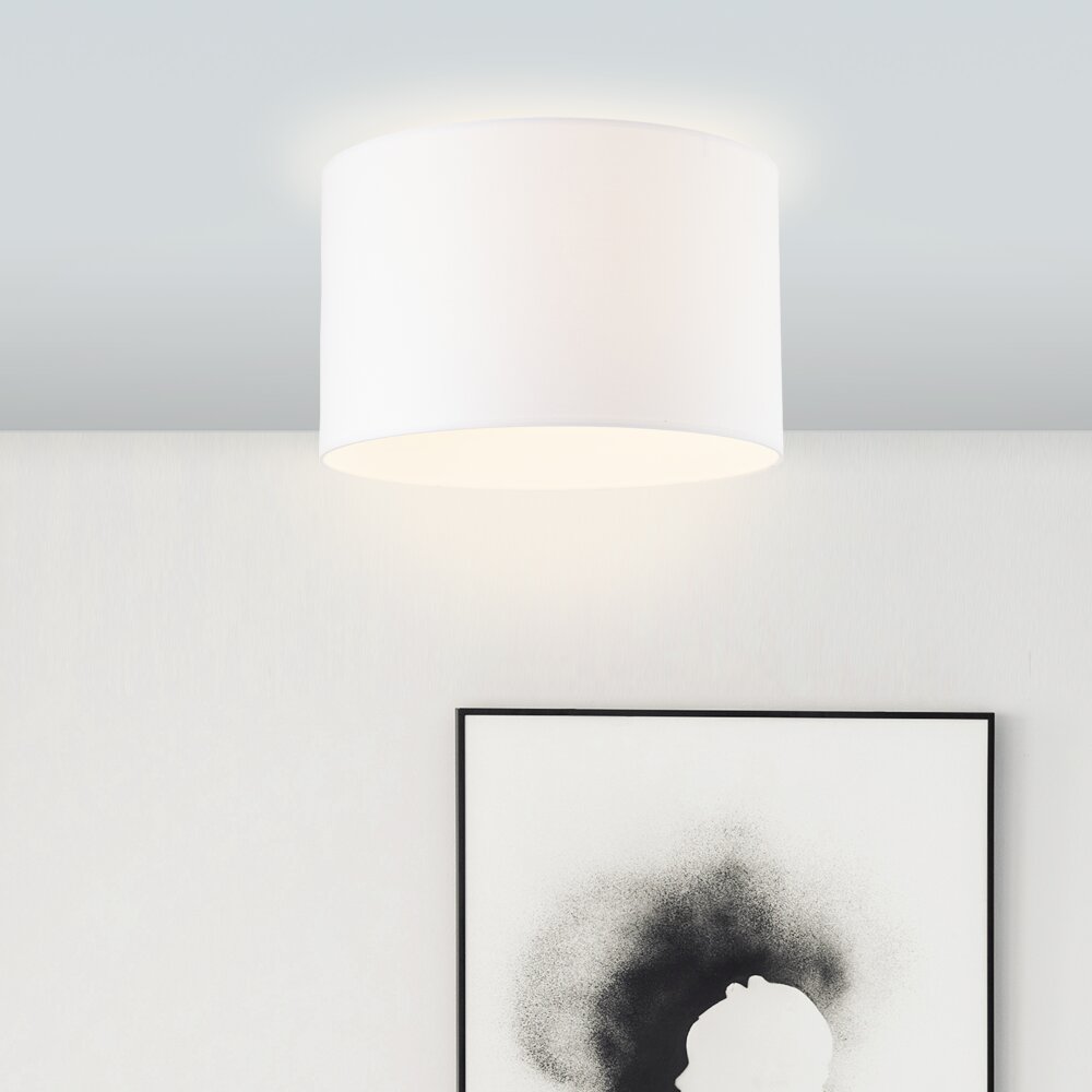 Brilliant Esher Plafondlamp Zilver, 1-licht main product photo