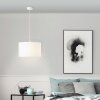 Brilliant Esher Hanglamp Zilver, 1-licht