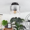 Wichita Plafondlamp Rookkleurig, Zwart, 1-licht