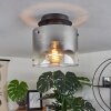 Wichita Plafondlamp Rookkleurig, Zwart, 1-licht