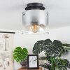 Wichita Plafondlamp Rookkleurig, Zwart, 1-licht