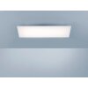 Paul Neuhaus FRAMELESS Plafondlamp LED Wit, 1-licht, Afstandsbediening