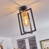 Bergo Plafondlamp Natuurlijke kleuren, Zwart, 1-licht