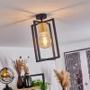 Bergo Plafondlamp Natuurlijke kleuren, Zwart, 1-licht