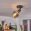 Wigan Plafondlamp Zwart, 1-licht