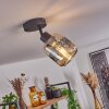 Wigan Plafondlamp Zwart, 1-licht