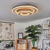 Kolo Plafondlamp LED Grijs, Wit, 1-licht, Afstandsbediening