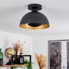 Vivian Plafondlamp Zwart, 1-licht